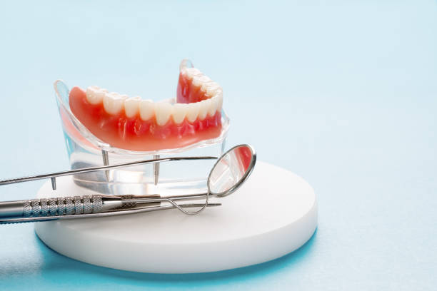Best Dental Exams and Cleanings  in St James City, FL